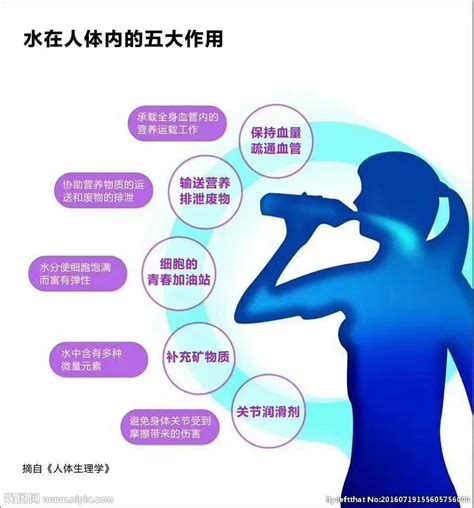 水的功能有哪些|水的生理功能是什么